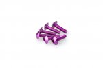 Skrutky PUIG 0550L ANODIZED fialová M5 x 20mm (6ks)