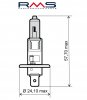 Žiarovka RMS 246510030 12V 55W, H1 modrá