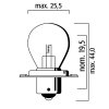 Žiarovka RMS 246510476 FLOSSER 6V 15W sb 25 p26s