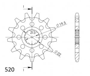 Reťazové koliečko SUPERSPROX CST-1439:13 13T, 520